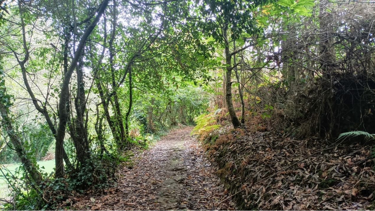 SENDA RÍO SISALDE (25 DE OUTUBRO)